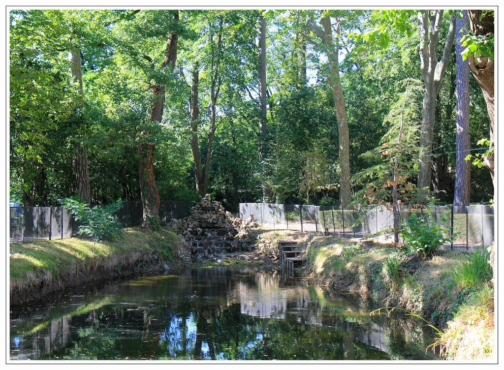 Domaine De Saint Charles Les Plans (Herault) Exterior foto